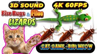 CAT GAMES TOM TV & BiBi | Ultimate Compilation Catching The LIZARDS, Flies, FireBugs11 HOURVol 111