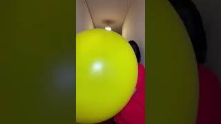 domino Filmes funny video|#shorts