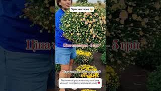 Замовлення приймаємо за посиланням в шапці профілю Оплата на пошті, відгуки закріплені в тг-каналі