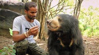 Saving the Dancing Bears | India