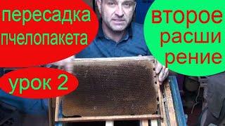 Расширение пчелопакета весной до корпуса. ОБУЧАЮЩИЙ УРОК № 2. Пчеловодство для начинающих