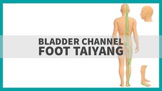 TCM Anatomy: Bladder Channel of Foot Taiyang