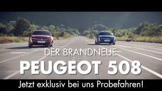 Jetzt den Peugeot 508 exklusiv bei uns Probefahren | Garage Galliker Carplanet