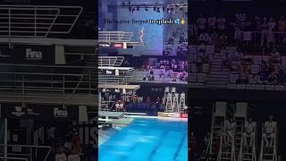 Perfect Dive | China diver Quan Hongchan  Gold medal 