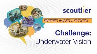 Rapid Innovation: UNDERWATER VISION. Dr. Marcos Sastre-Cordova.