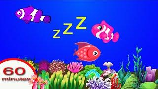 60 minutes Lullaby and Calming Undersea Animation, Soothing fishes, Baby sleep music stv