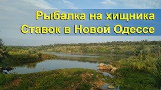 Рыбалка на хищника в жару | Мальки атакуют | Ставок Новая Одесса