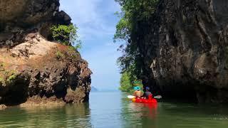 Ao Thalane Mangrove Forest 4K, Krabi (Thailand)