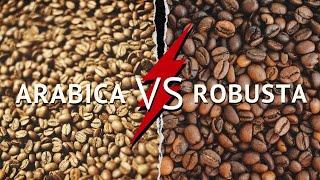 ARABICA vs ROBUSTA | Про відмінності між арабікою та робустою |  Що таке арабіка та робуста?