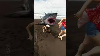 Pescando Tiburones en Guatemala con VFX