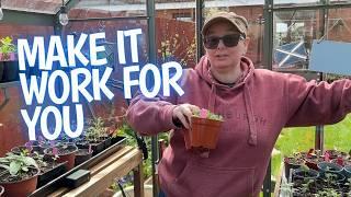 Get The Most Out Of Your Small Greenhouse With My Tips!