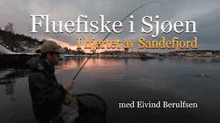 Fluefiske i sjøen. Episode 2 - 2019. I hjertet av Sandefjord. Med Fluefiskern Eivind Berulfsen.