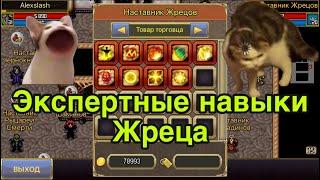 Экспертные навыки Жреца в Warspear Online. Обзор навыков. Жрец в варспир - какой навык брать?