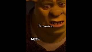 3 триместр