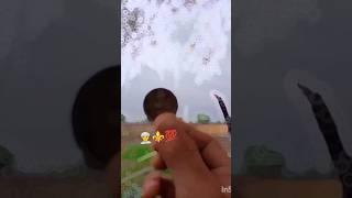 Welcome to desi life  #desi #desiboy #desichora #gaon #kisan #kisani #ganna #welcometodesilife