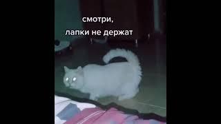 Не сберегла! Не долюбила! xD