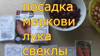 посадка моркови лука свеклы удобной сажалкой