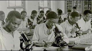 Overview of The anatomy act of Nigeria of 30th march 1933