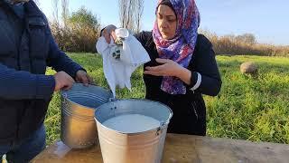 Pendir hazırladım. 7 lt süddən baxın nə qədər pendir alındı.Bütün qışa bəs edəcək. 