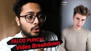 Falco Punch TikTok Video BreakDown | Reaction on TikTok Viral Videos #Falcopunch