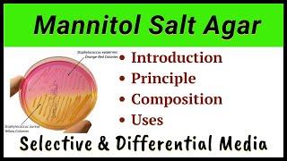 Mannitol Salt Agar | MSA