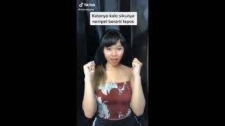 Tiktok Siku Challenge