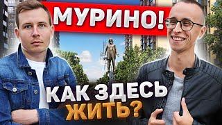 МУРИНО - самые дешевые квартиры у Метро / Вечные пробки в Девяткино!