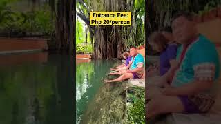 Natural Spa | Tickly Foot Massage in Siquijor