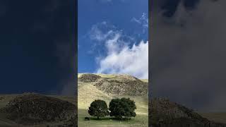 Beautiful Mission Peak Hike - SAN FRANCISCO Bay Area Outings - FREMONT California | USA Walking Tour