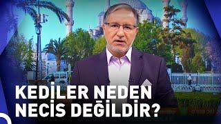 Peygamberimizin Kedisinin Adı Neydi? | Prof. Dr. Mustafa Karataş ile Muhabbet Kapısı