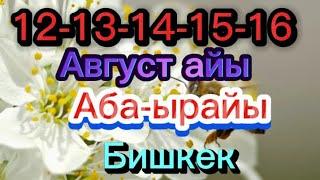 БИШКЕК АБА-ЫРАЙЫ 12-13-14-15-16 Август кунку#бишкек #жанылыктар #кабарлар #погода