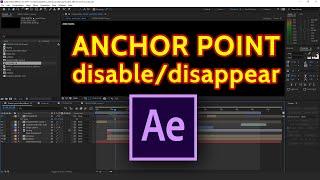 can't see anchor point after effects|After Effects Tutorial