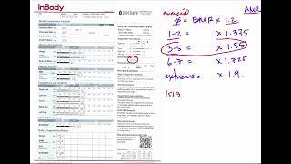 InBody 570 Scan to Determine How Many Calories to Eat