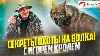 Охота на волка на вабу! Охотничьи секреты от Игоря Кроля. Как добыть волка?