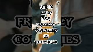 top 10 most dog friendly countries in the world #worldinfo #worldnewstv  #aboutworld