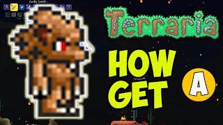 Terraria how to get Werewolf Charm (EASY) | Terraria 1.4.4.9 how to get Moon Charm