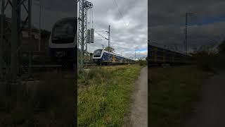 NordWestBahn RS 1 (BR 440 in alter Farbgebung) Richtung Bremen-Farge