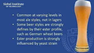 Ethyl Acetate - Beer sensory characteristics, causes and control factors