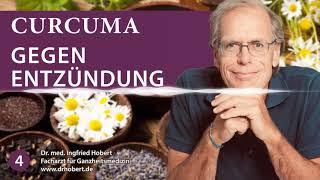 Omega, Schwarzkümmel und Curcumin bei Entzündungen im Körper - Dr. Med. Ingfried Hobert - Podcast 4