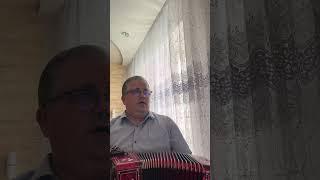 За лесом солнце воссияло #казачьипесни #дмитрийразборы