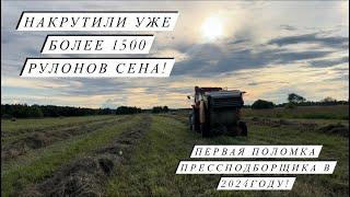 Птица, крс, мрс, свиньи- да еще и на сенокос успеть! Убрали первую партию уток! Молодая ферма!