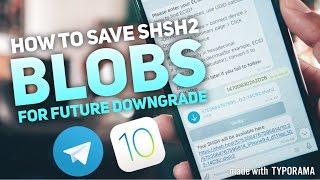 How To Save SHSH2 Blobs - 2017 (EASIEST WAY)