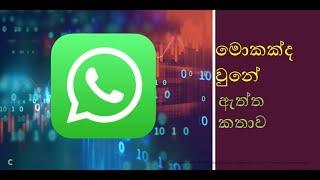 Whatsapp privacy policy update in sinhala tutorial