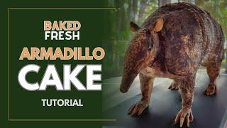 HOW TO MAKE AN ARMADILLO CAKE | a nod to Steel Magnolias