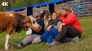 Мать и сыновья-пастухи в горе | Документальный-4К