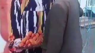 Мусфеди хулиган бдай