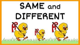 Same and Different Activity for Kids | Preschool and Kindergarten Math | Life skills