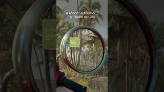 Goa on Your Wall – Where Colour Meets Calm #dulux #paint