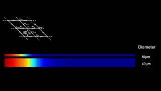 Action potential propagation (model 1)