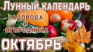 ЛУННЫЙ КАЛЕНДАРЬ САДОВОДА И ОГОРОДНИКА НА ОКТЯБРЬ МЕСЯЦПОДЗИМНИЙ ПОСЕВ СЕМЯН